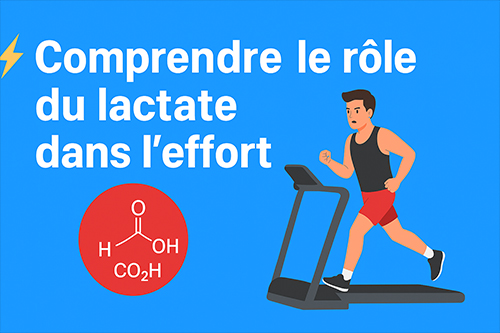 Comprendre le rôle du lactate dans l’effort