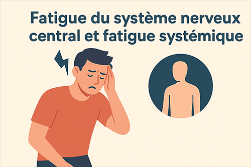 Fatigue du système nerveux central et fatigue systémique